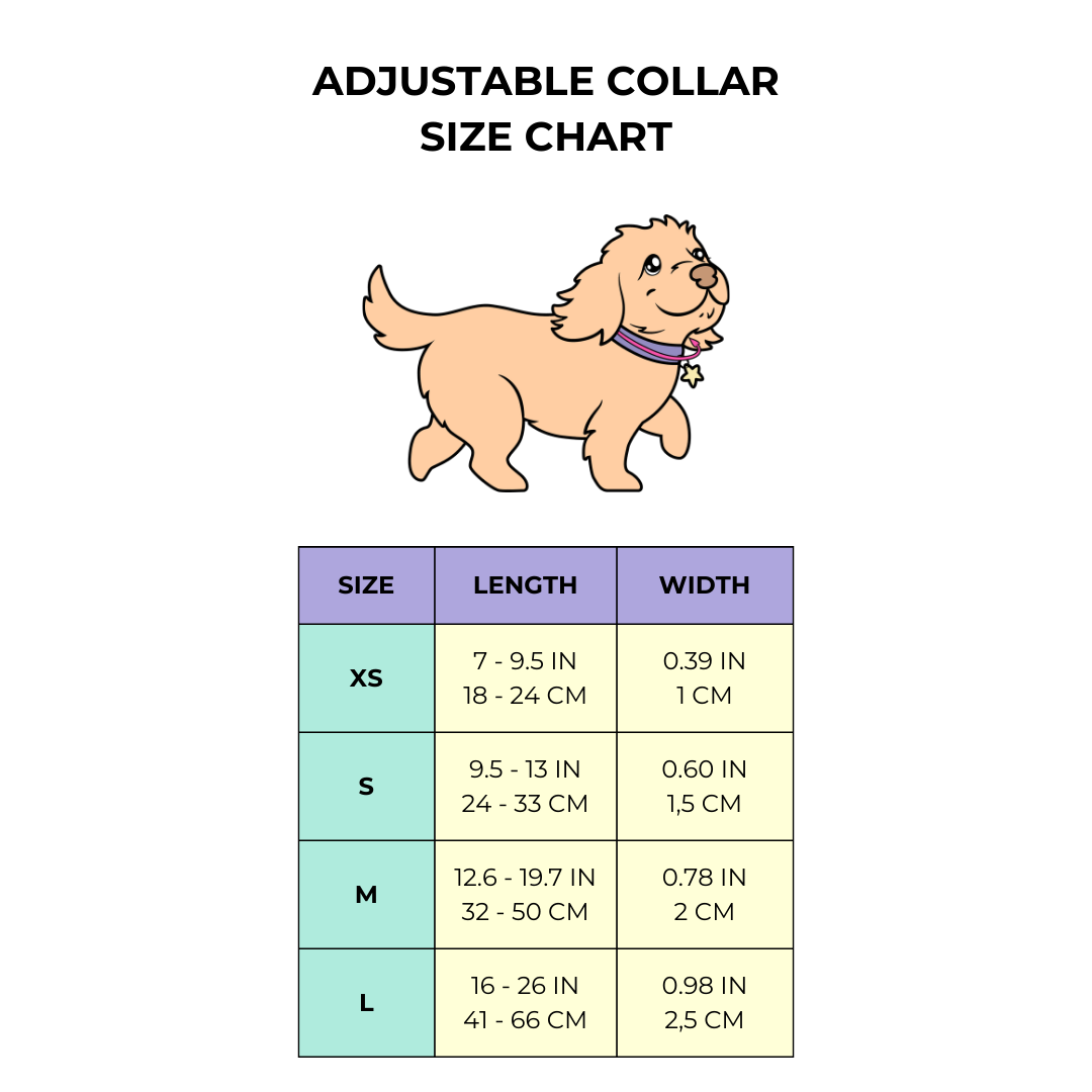 4 PIECE BUNDLE - COWGIRL