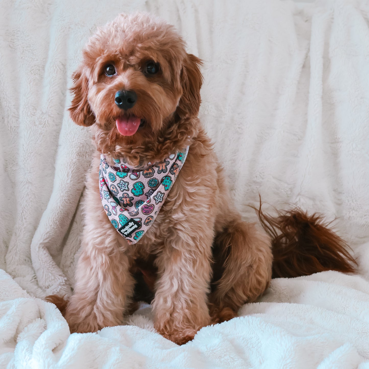 BANDANA - MAGICALLY GINGER BITES