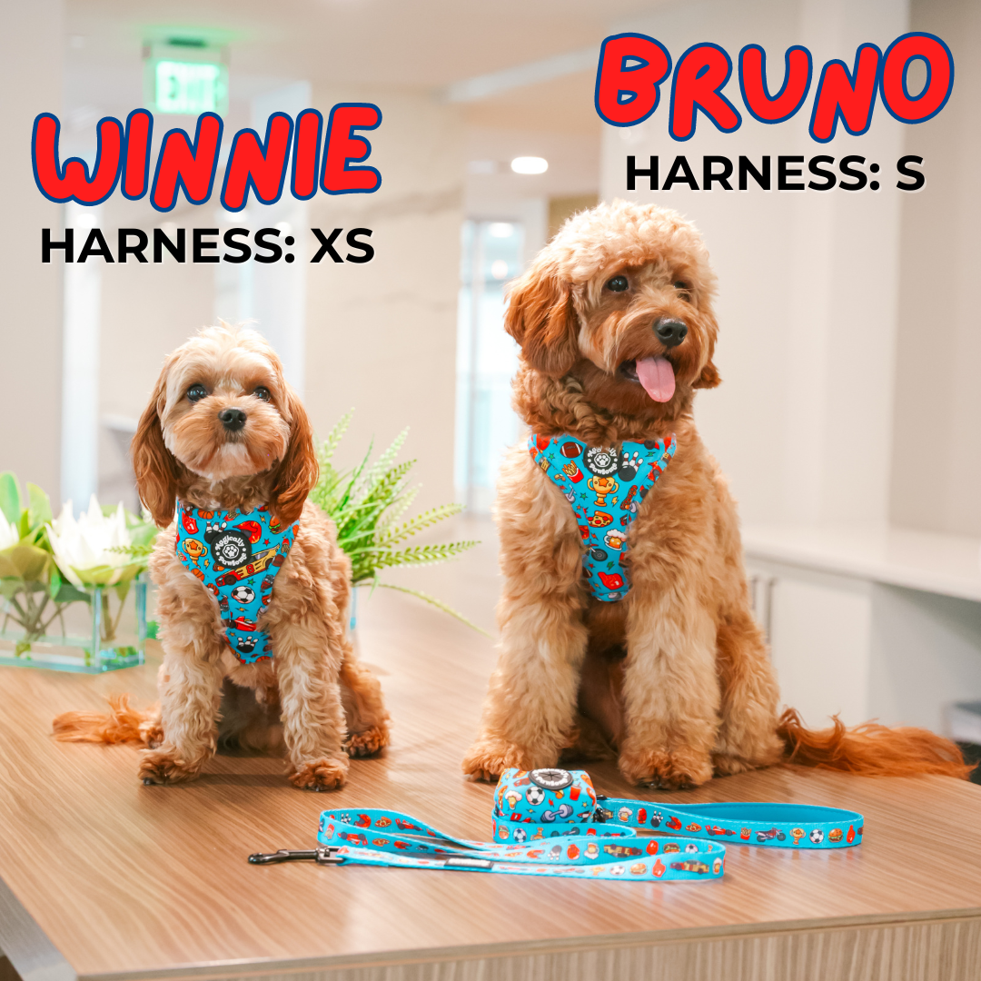 DOG ADJUSTABLE HARNESS DADDY S BOY