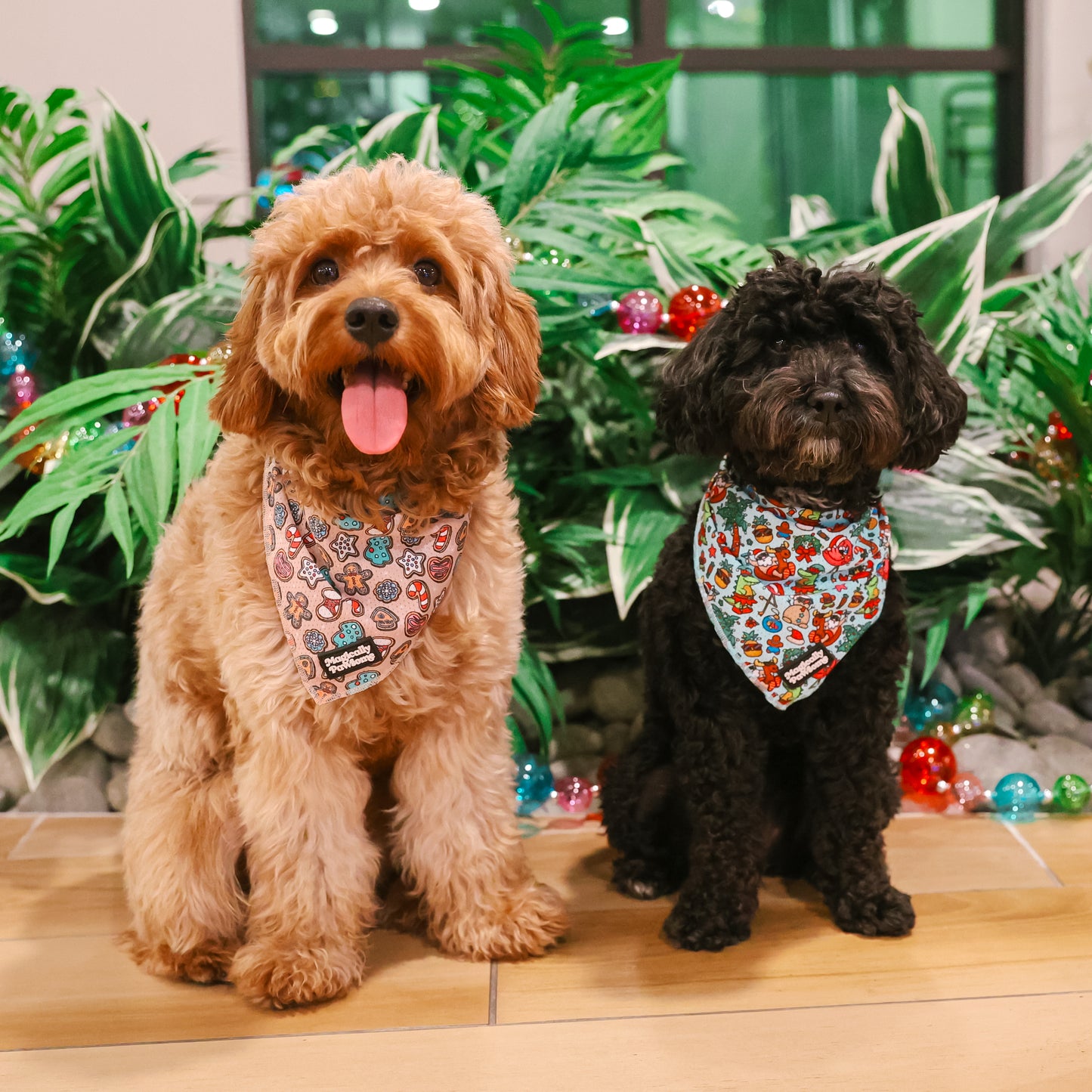 BANDANA - SANDY CLAUS